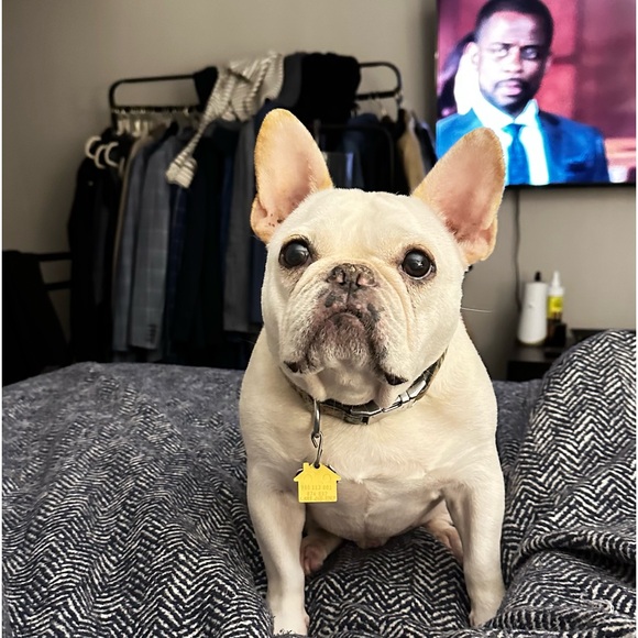 Meet your Posher, Andrew - Picture 2 of 3